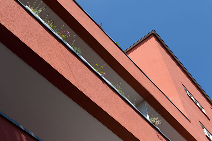 _MG_7832