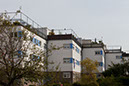 _MG_0787
