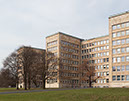 _MG_8921