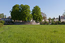 _MG_9695